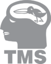 TMS SP. Z O.O.